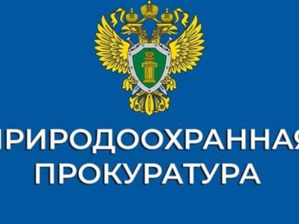 Новые изменения в Лесном кодексе РФ: меры по предотвращению лесных пожаров