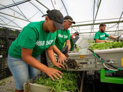 С Днем работника сельского хозяйства и перерабатывающей промышленности!