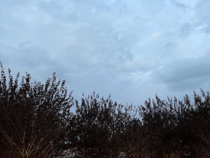 Погода в Краснодарском крае на последнюю неделю ноября