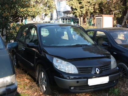 В Сочи конфискованные автомобили отправили на СВО