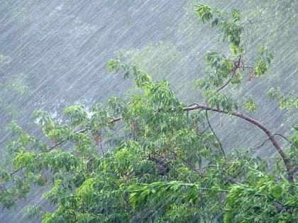 В Сочи прогнозируют ухудшение погоды