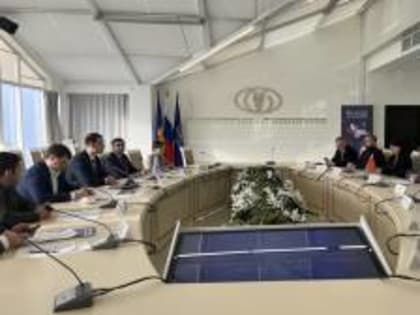 Производители халвы из Беларуси заинтересованы в поставках кубанского подсолнечника
