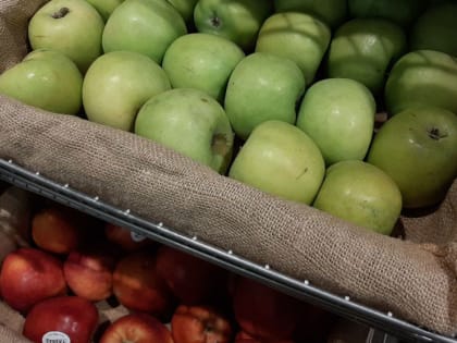 Урожай яблок на Кубани снизился на 10% из-за заморозков — эксперт