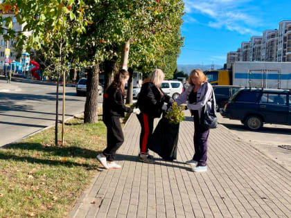 Участники субботника в Сочи собрали 35 тонн мусора