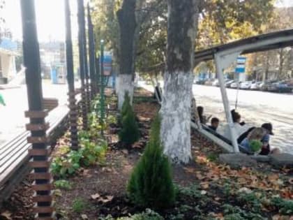 С заботой об экстерьере: коллектив магазина «Универмаг» показал правильный пример благоустройства прилегающей территории