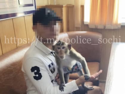 В Сочи задержали очередного фотографа-живодера