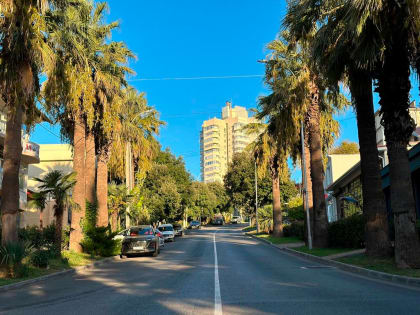 “Шесть водопадов”: В Сочи появится новая прогулочная зона