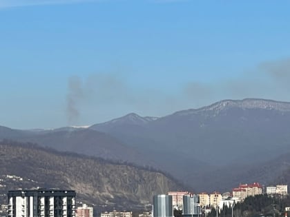 В Сочи ликвидирован лесной пожар
