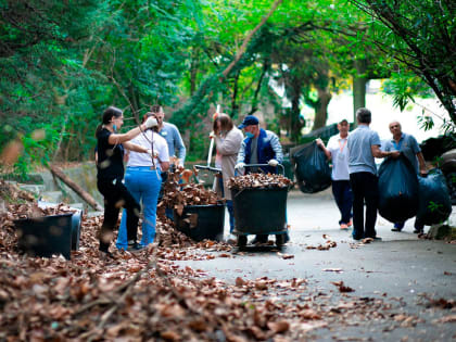 Более 3 тысяч человек приняли участие в общегородском субботнике в Сочи