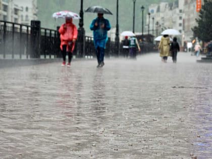 В Сочи неделя начнется с ливней и сильного ветра