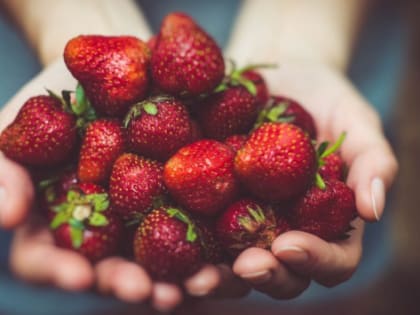 Коробка объяснил рост стоимости клубники на Кубани