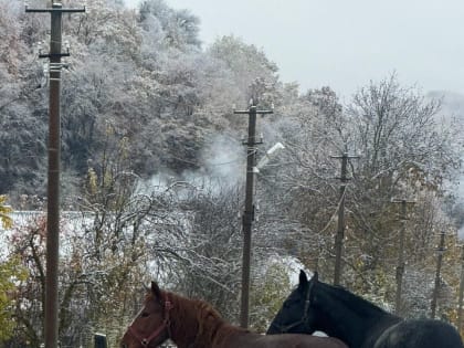 Синоптики удивили прогнозом на первую половину февраля в Краснодарском крае