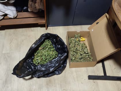 Полицейские Новороссийска задержали мужчину, у которого изъяли наркотическое средство растительного происхождения