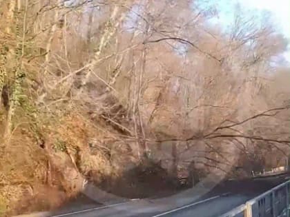 Оползень перекрыл трассу в Сочи у горного поселка Солох-Аул