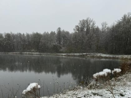 Зальет дождем и припорошит снегом: прогноз погоды на 28 декабря на Кубани