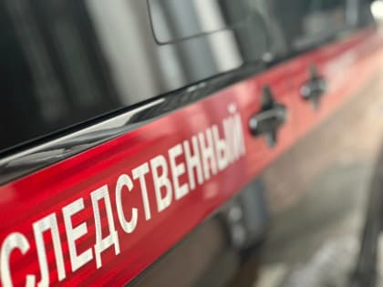 В Краснодарском крае собака покусала 12-летнего подростка