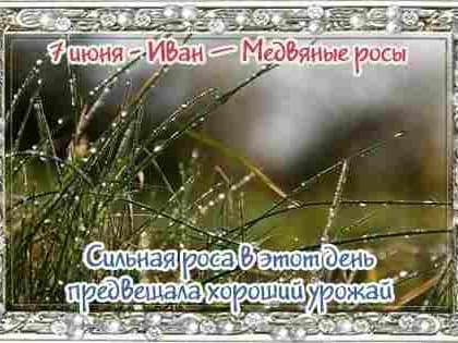 Народный праздник Иван – Медвяные росы отмечается 7 июня