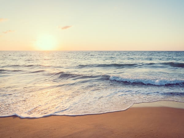 Где лучше остановиться в Сочи: Обзор районов