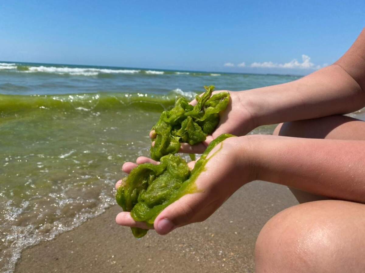 Вода в Анапе