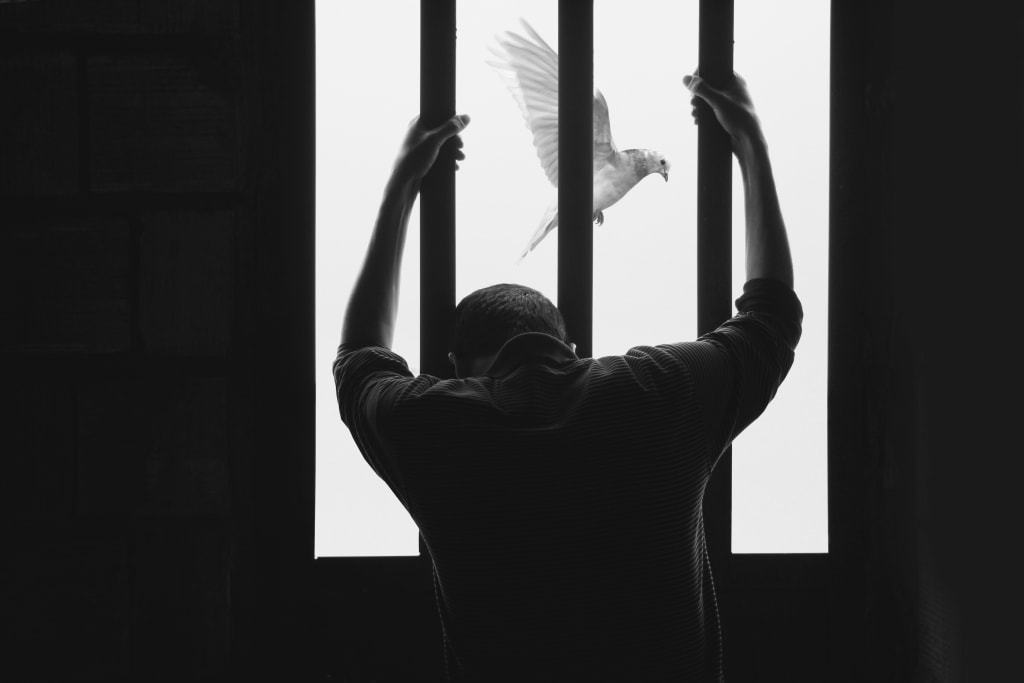 A man in prison and bird flying freely.