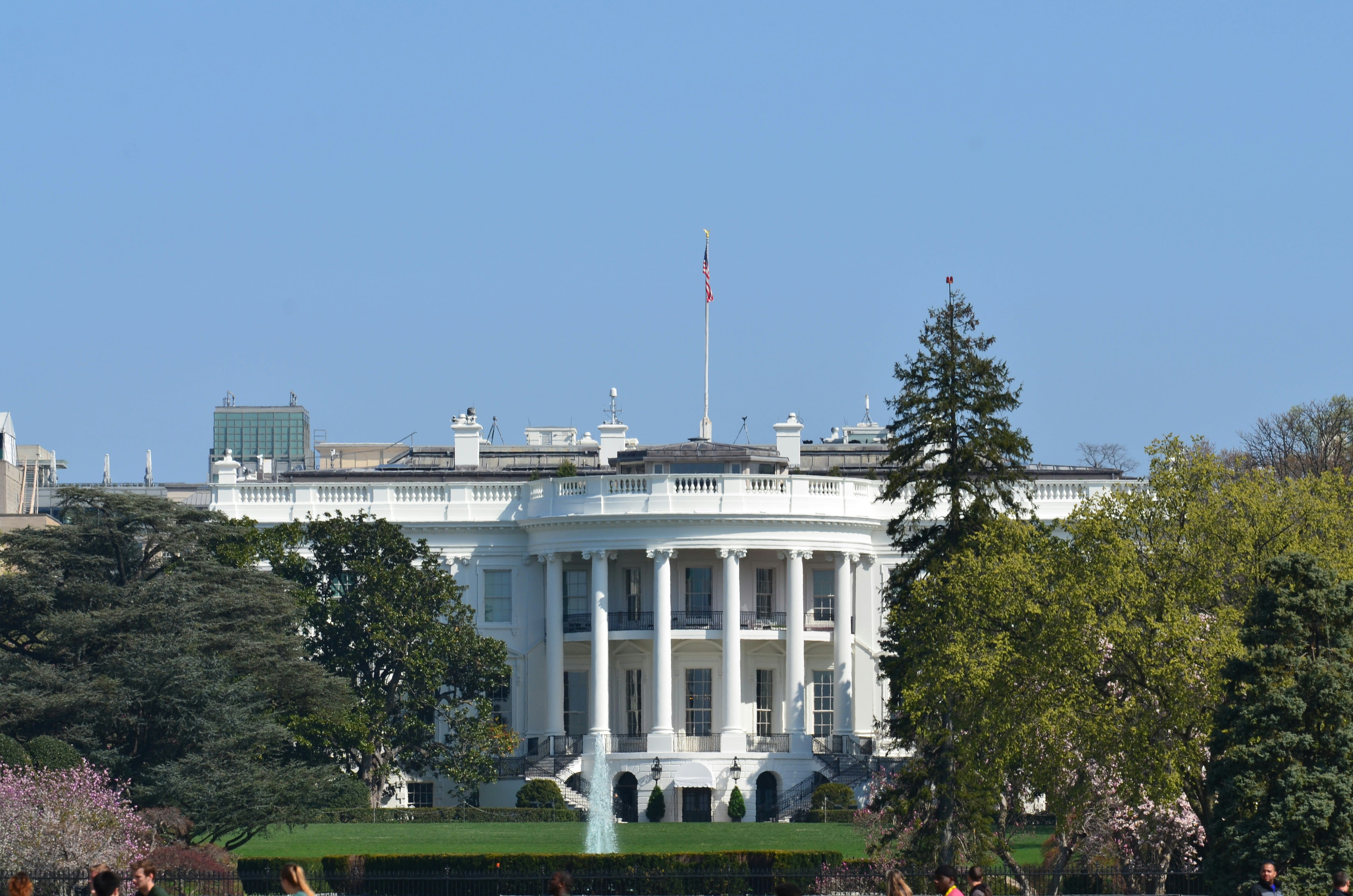 The White House With Green Trees in Front Under a Sunny Blue Sky