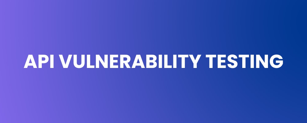 API Vulnerability Testing