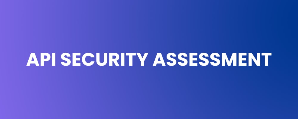 API Security Assessment