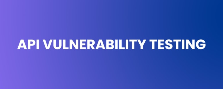 API Vulnerability Testing