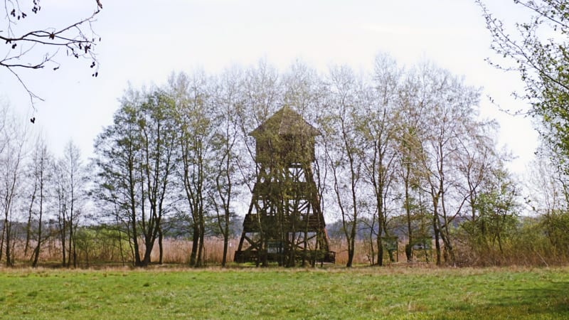 Wieża obserwacyjna nad stawem Grabownica