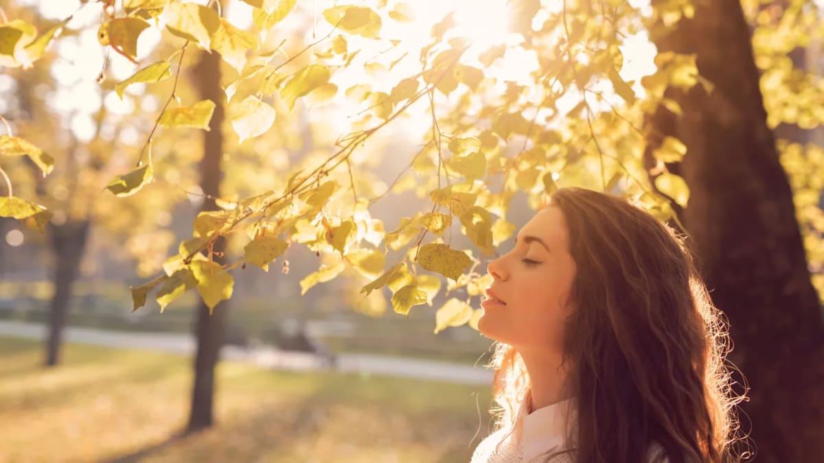 Listen to a calming sound (e.g., rain, ocean waves)