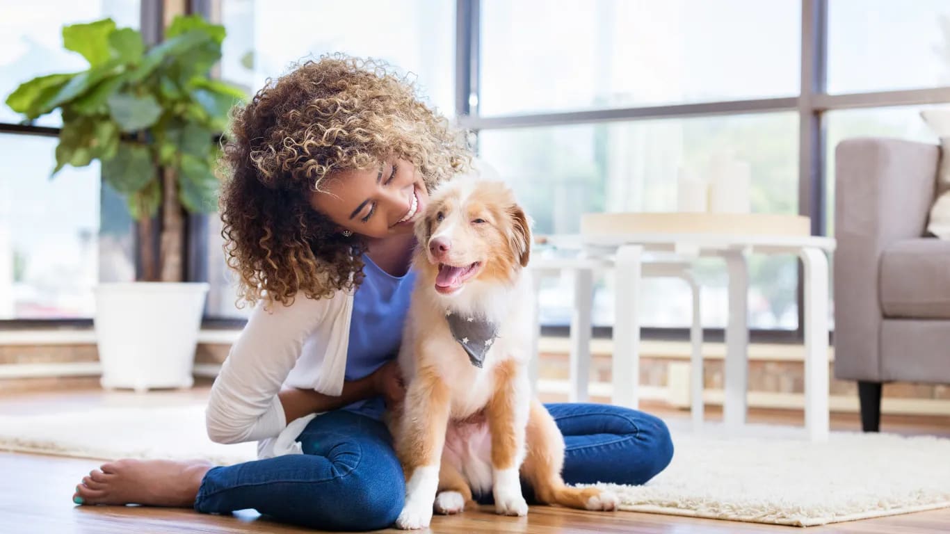 Water a Plant or Take Care of a Pet