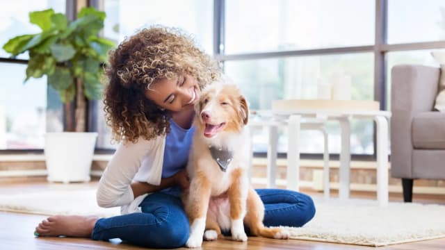 Water a plant or take care of a pet