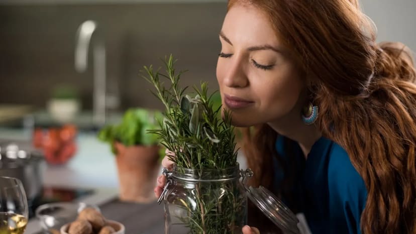 Daily habit: Smell something pleasant (e.g., essential oil, coffee, citrus)