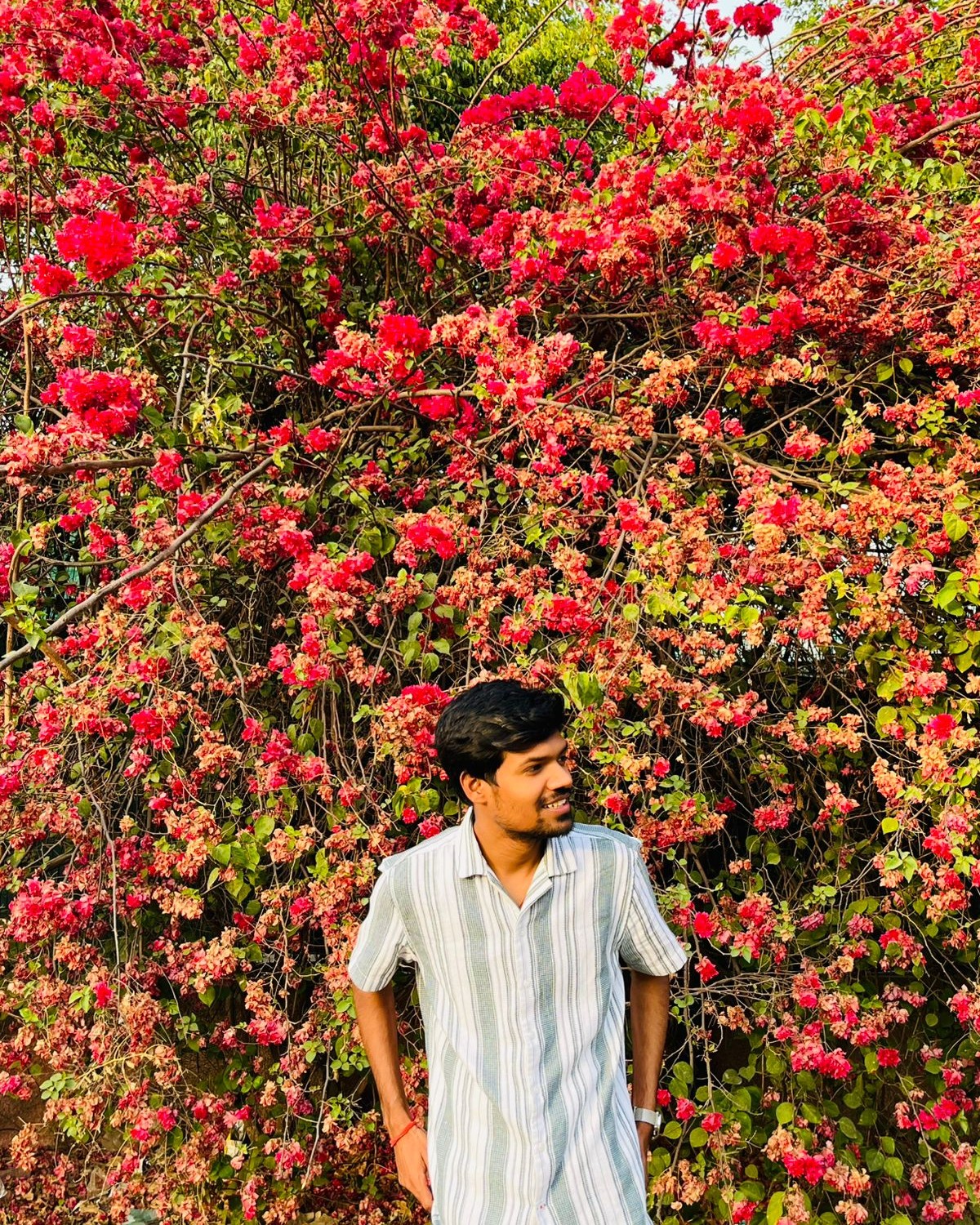 Aditya Kumar Pal – Developer