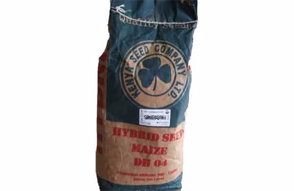 DH 04 Hybrid Maize Seed (2kg Pack)