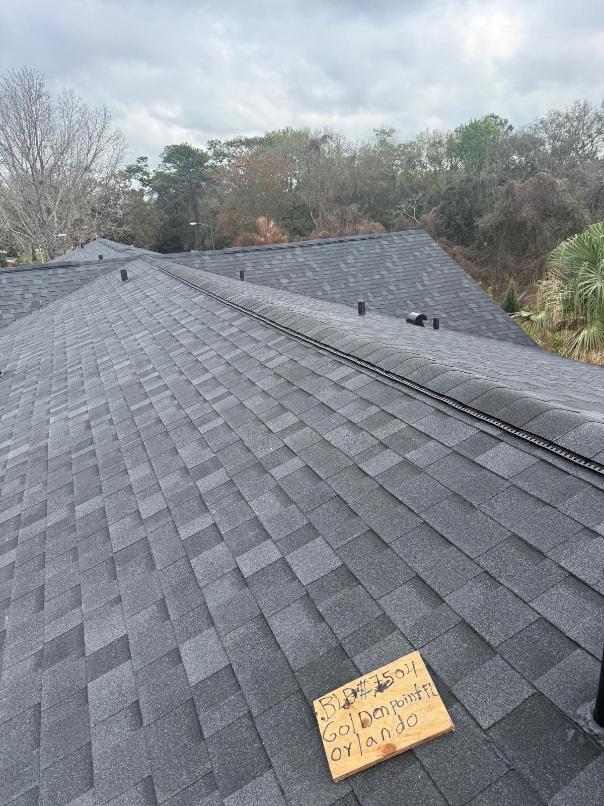 Roofing project by L Renovation