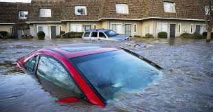 Should You Repair or Sell a Flood-Damaged Car in Pasco County?