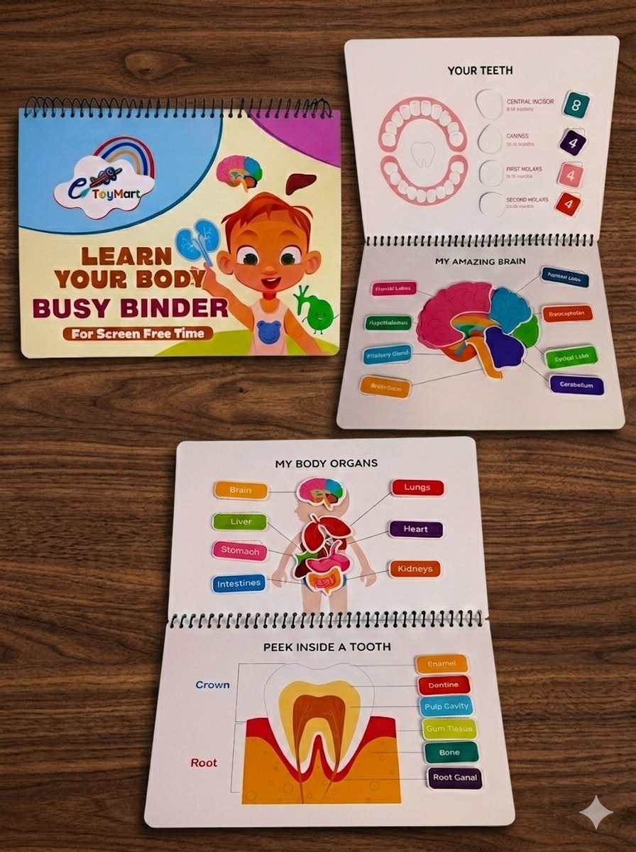Busy Binder - Learn Your Body - Image 3