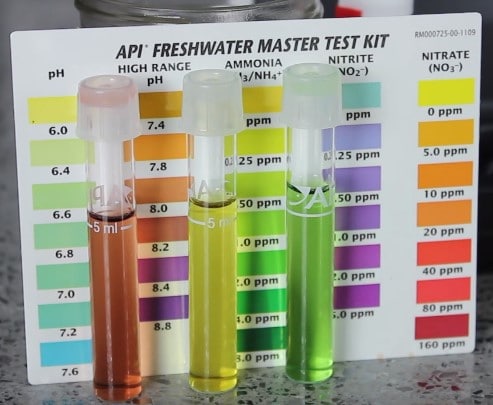 Test Kit