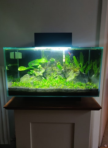 Fluval Edge Nano Tank thumbnail