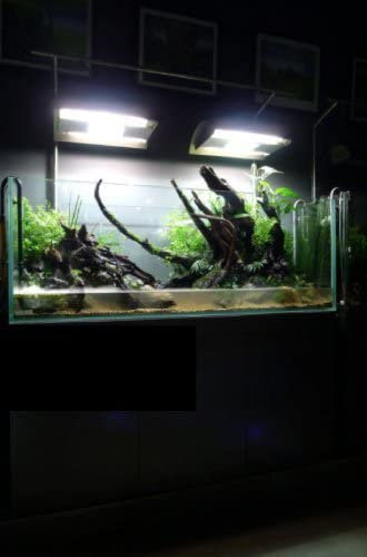 Basic Aquarium thumbnail
