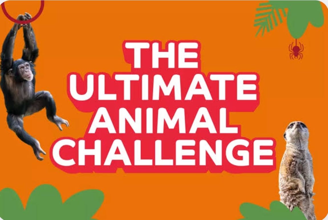Contest Banner