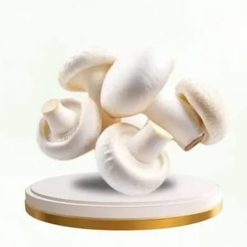 Button Mushroom