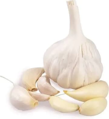 Garlic (Lahsun)