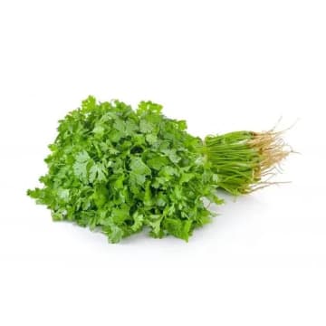 Coriander (Dhaniya)