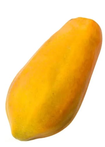 PAPAYA