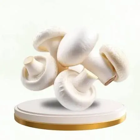 Button Mushroom