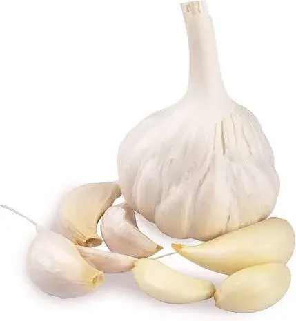 Garlic (Lahsun)