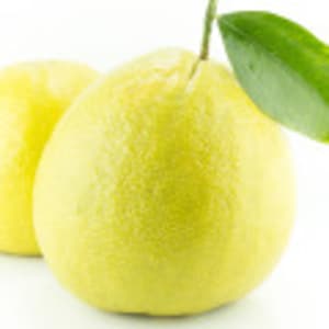 البرغموت