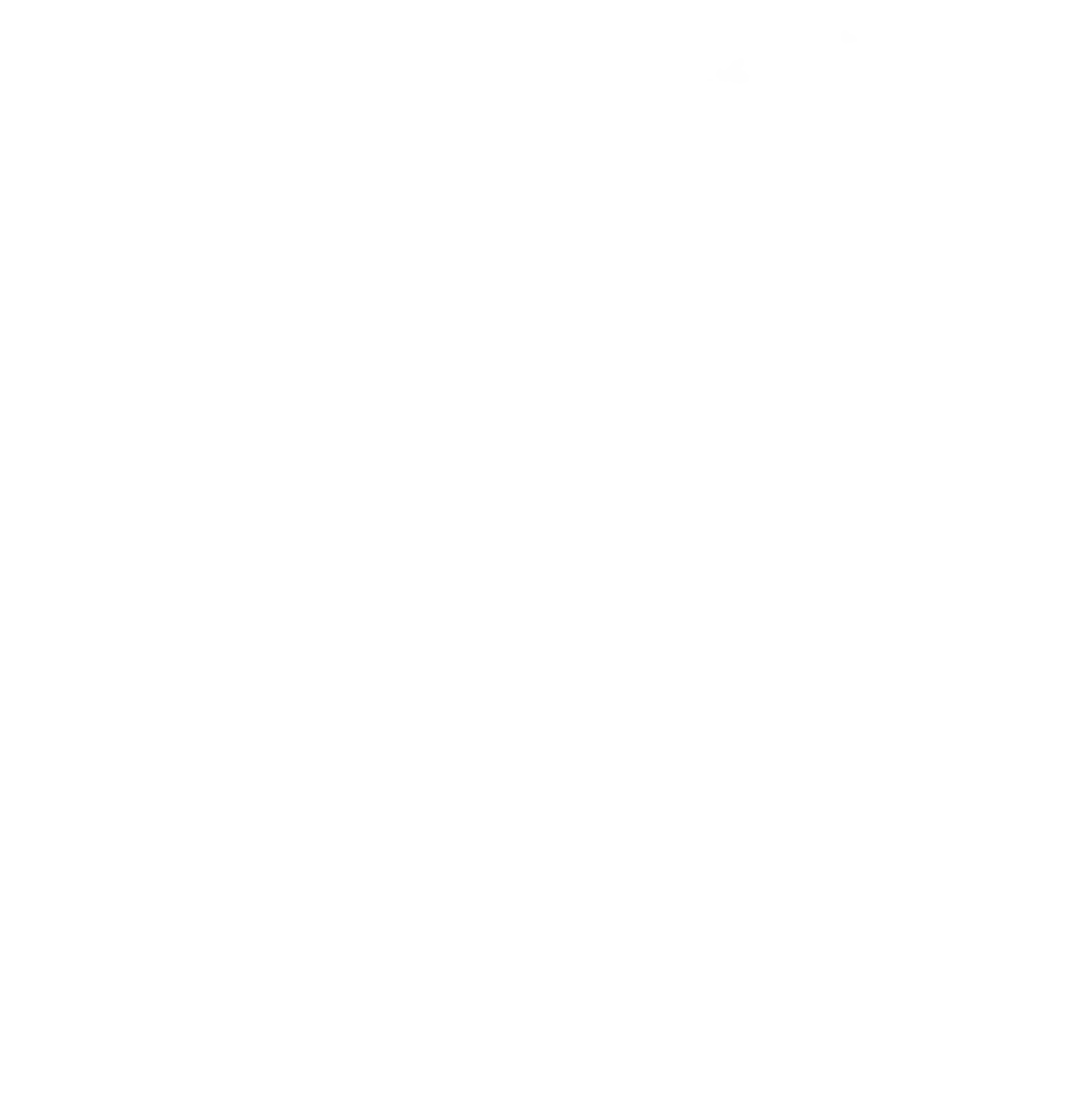 twins